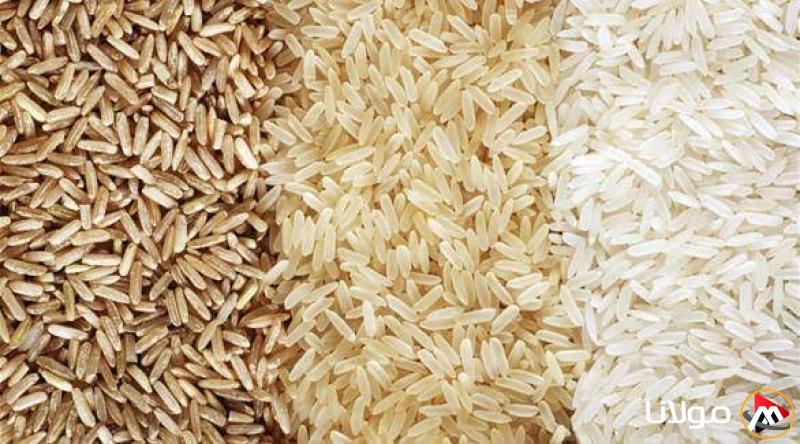 سعر طن الأرز الشعير اليوم الأحد عند التجار.. تعرف على الأسعار الحالية