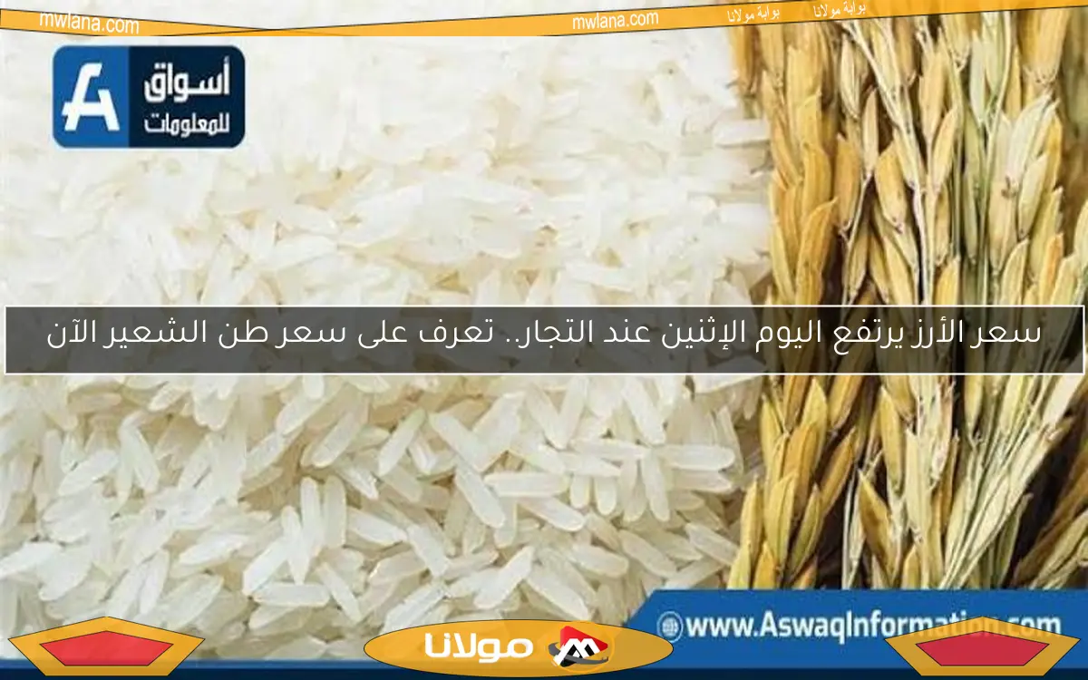 سعر الأرز يرتفع اليوم الإثنين عند التجار.. تعرف على سعر طن الشعير الآن