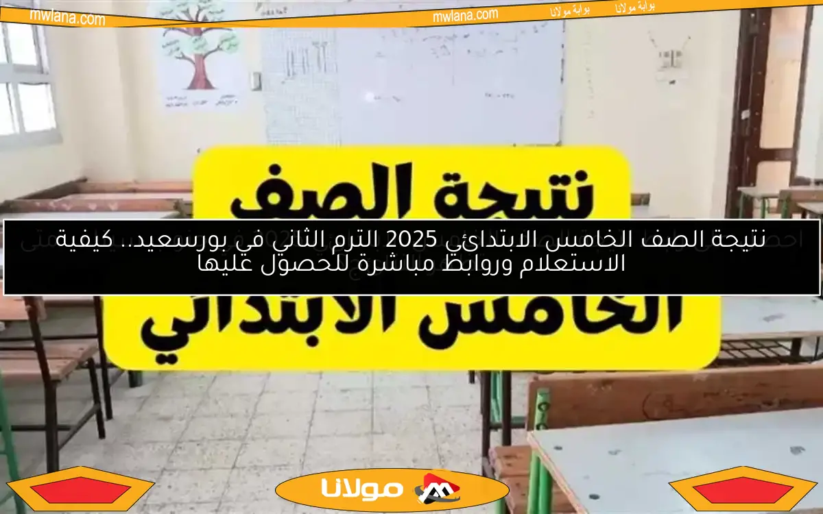 احصل على رابط نتيجة الصف الخامس الابتدائي 2025 في جنوب سيناء.. متى تظهر النتائج؟