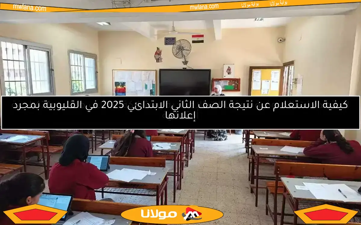 استعدادات المنوفية لامتحانات الإعدادية بمشاركة 92 ألف طالب و421 لجنة امتحانية
