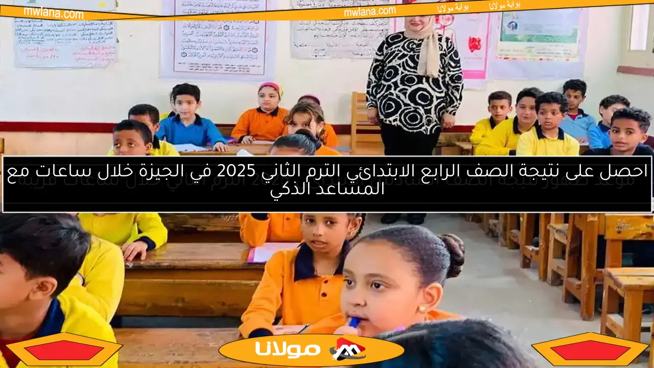 نتائج الصف الثالث الابتدائي 2025 في محافظة الإسكندرية.. تعرف على موعد الإعلان عنها