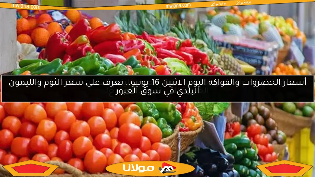 أسعار الخضروات والفواكه اليوم الاثنين 16 يونيو.. تعرف على سعر الثوم والليمون البلدي في سوق العبور