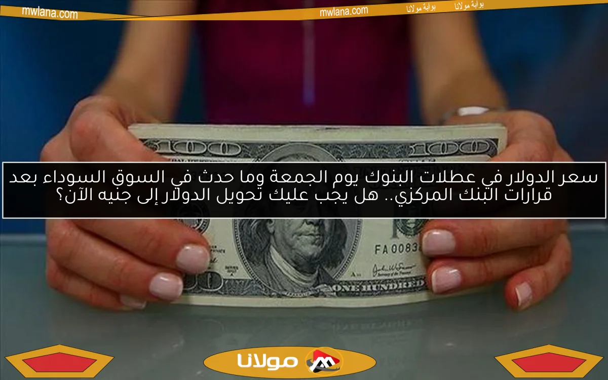 سعر الدولار في عطلات البنوك يوم الجمعة وما حدث في السوق السوداء بعد قرارات البنك المركزي.. هل يجب عليك تحويل الدولار إلى جنيه الآن؟