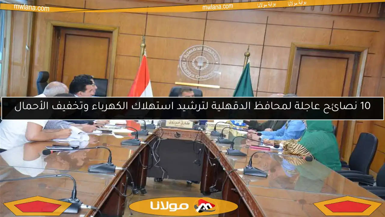10 نصائح عاجلة لمحافظ الدقهلية لترشيد استهلاك الكهرباء وتخفيف الأحمال