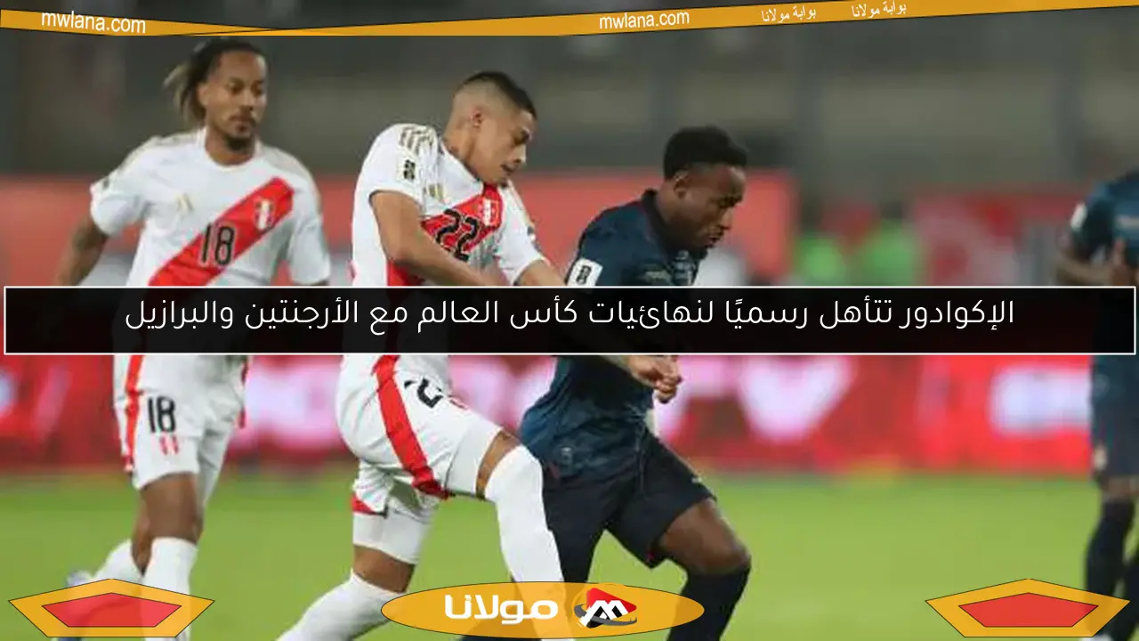 الإكوادور تتأهل رسميًا لنهائيات كأس العالم مع الأرجنتين والبرازيل
