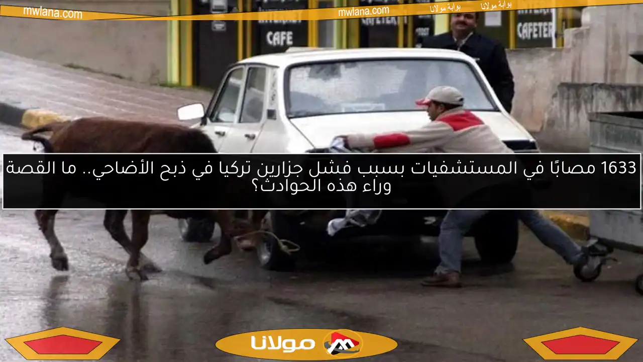1633 مصابًا في المستشفيات بسبب فشل جزارين تركيا في ذبح الأضاحي.. ما القصة وراء هذه الحوادث؟