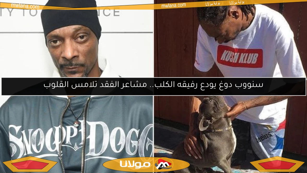 سنووب دوغ يودع رفيقه الكلب.. مشاعر الفقد تلامس القلوب