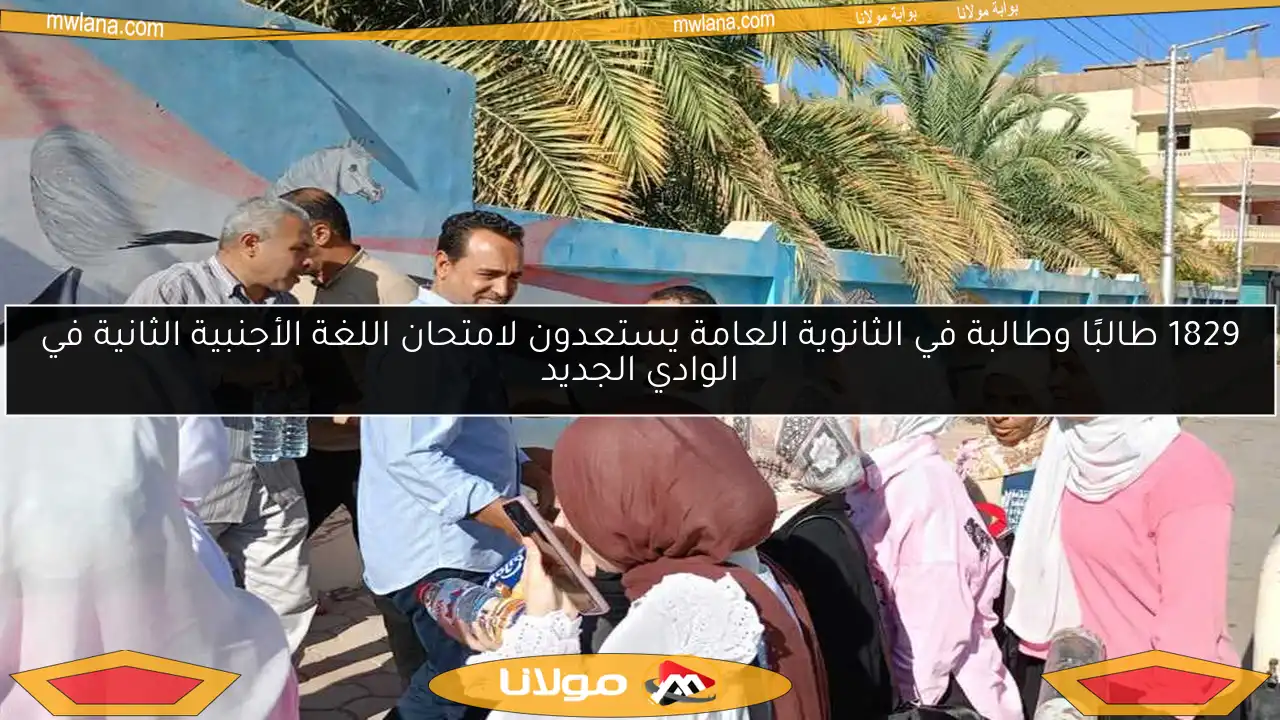 1829 طالبًا وطالبة في الثانوية العامة يستعدون لامتحان اللغة الأجنبية الثانية في الوادي الجديد