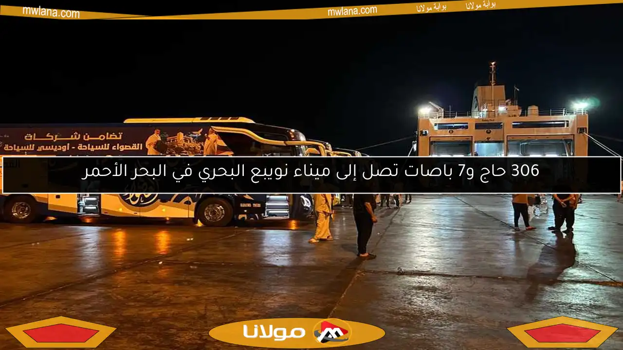 306 حاج و7 باصات تصل إلى ميناء نويبع البحري في البحر الأحمر