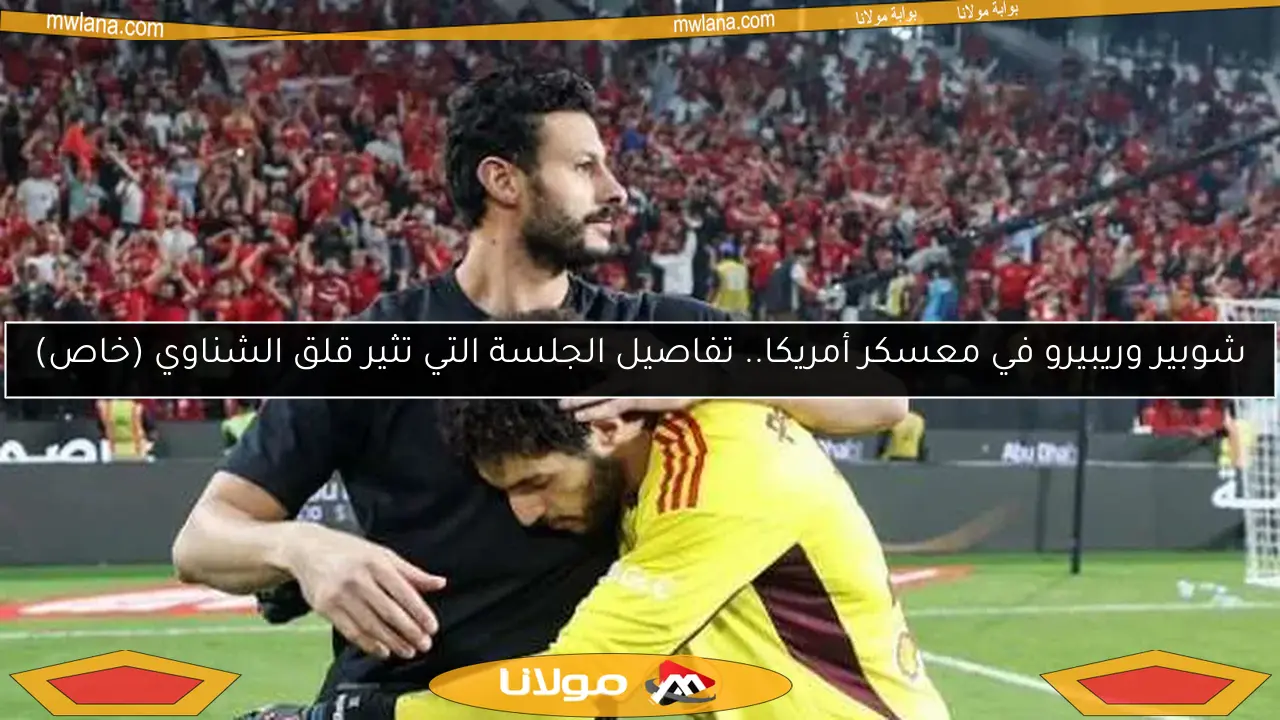 شوبير وريبيرو في معسكر أمريكا.. تفاصيل الجلسة التي تثير قلق الشناوي (خاص)