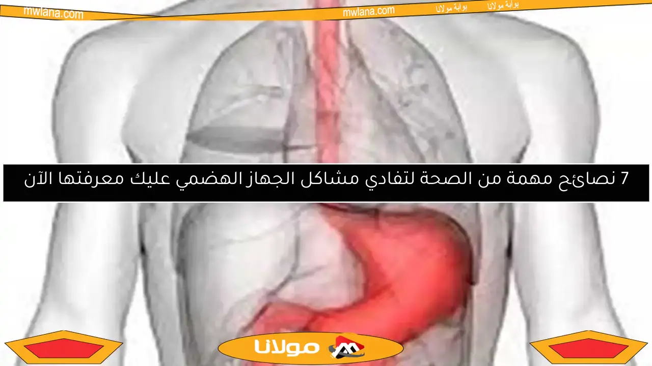 7 نصائح مهمة من الصحة لتفادي مشاكل الجهاز الهضمي عليك معرفتها الآن