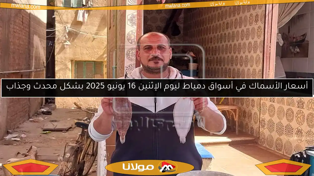 أسعار الأسماك في أسواق دمياط ليوم الإثنين 16 يونيو 2025 بشكل محدث وجذاب