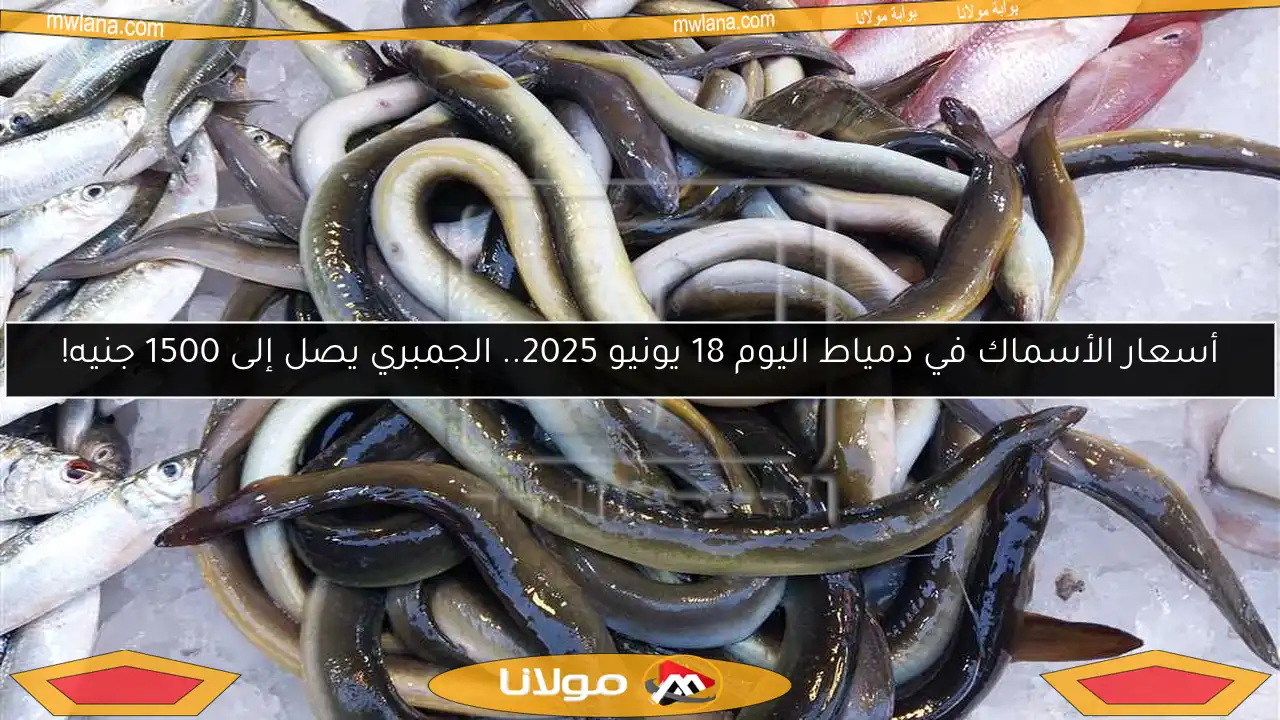 أسعار الأسماك في دمياط اليوم 18 يونيو 2025.. الجمبري يصل إلى 1500 جنيه!