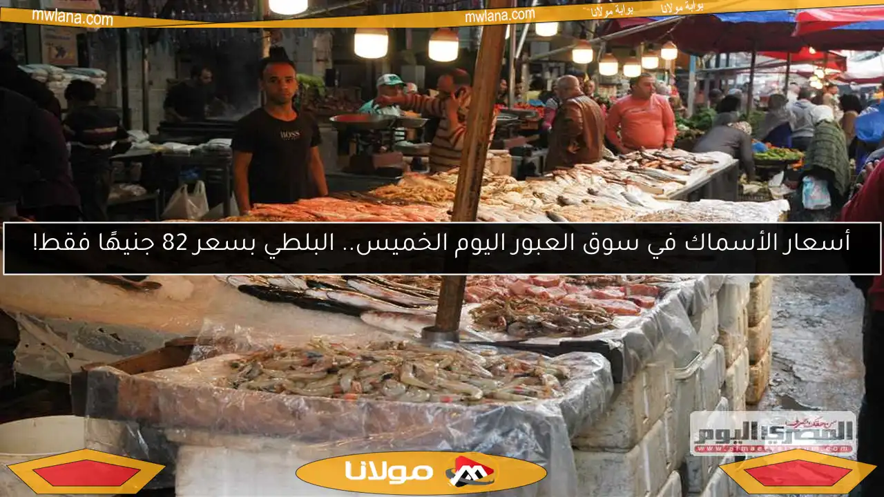 أسعار الأسماك في سوق العبور اليوم الخميس.. البلطي بسعر 82 جنيهًا فقط!