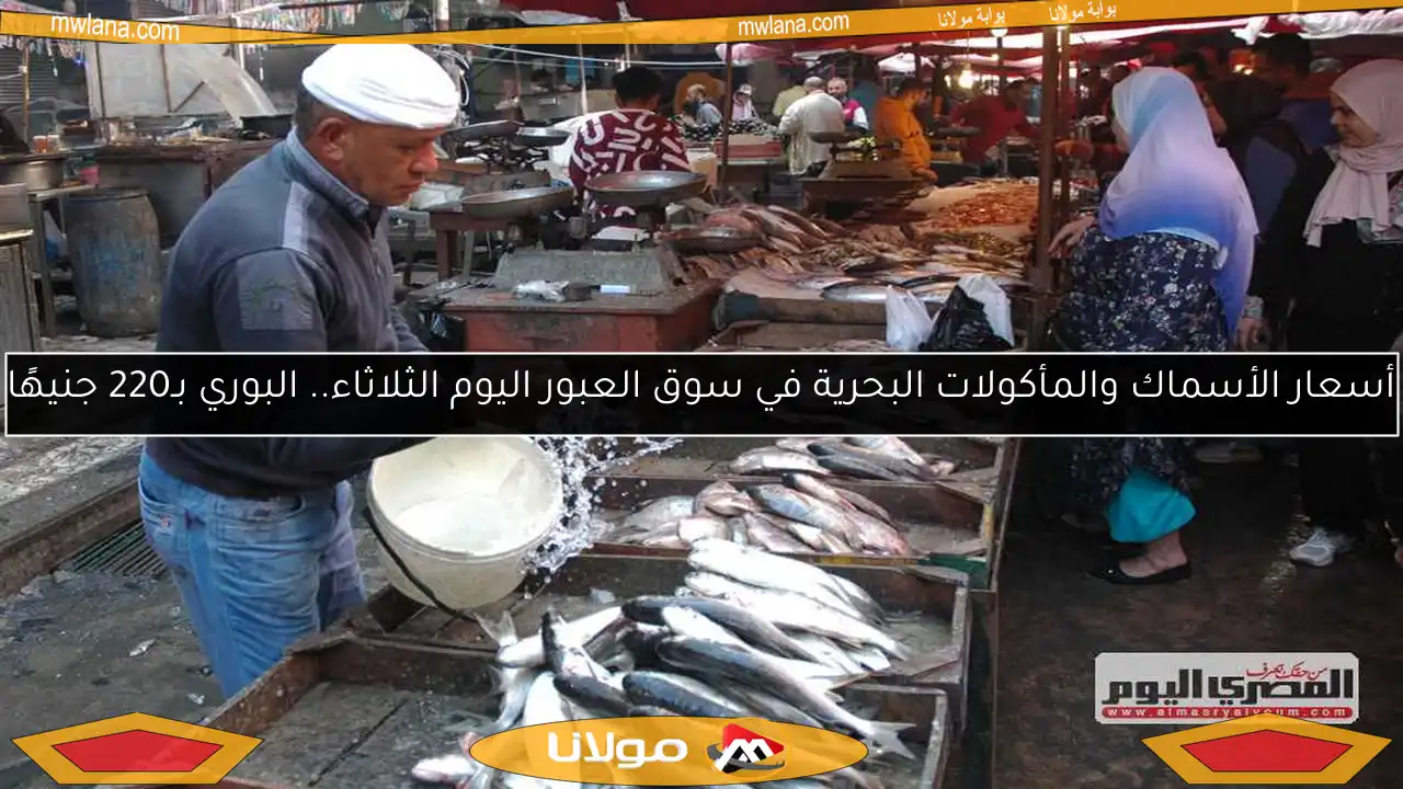 أسعار الأسماك والمأكولات البحرية في سوق العبور اليوم الثلاثاء.. البوري بـ220 جنيهًا