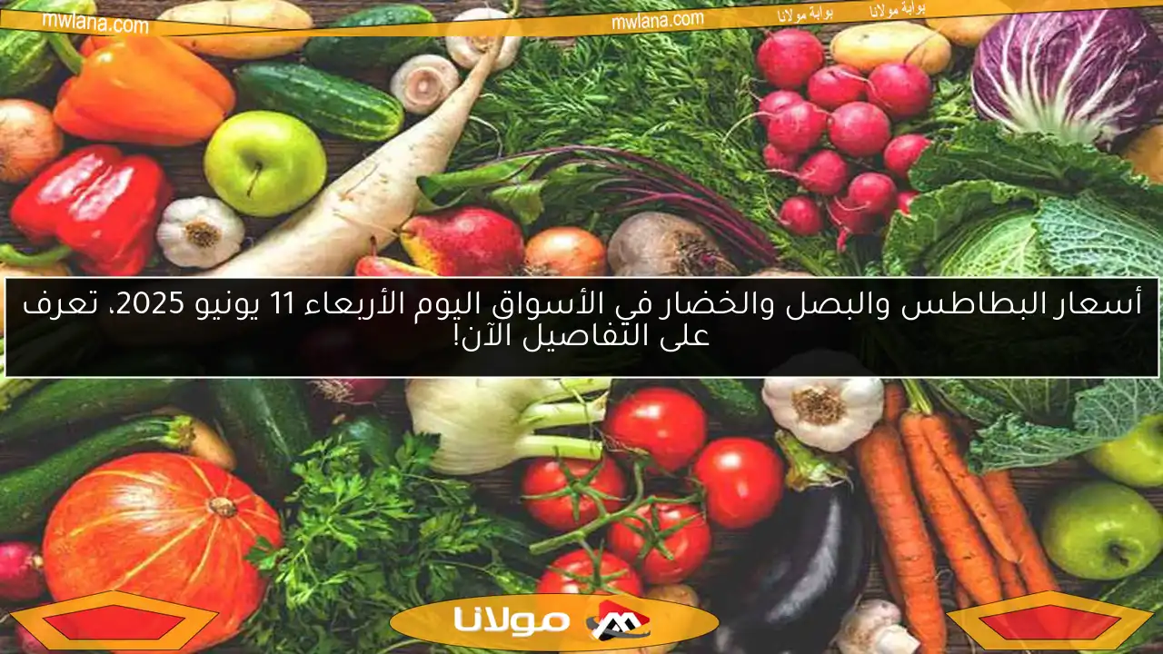 أسعار البطاطس والبصل والخضار في الأسواق اليوم الأربعاء 11 يونيو 2025، تعرف على التفاصيل الآن!