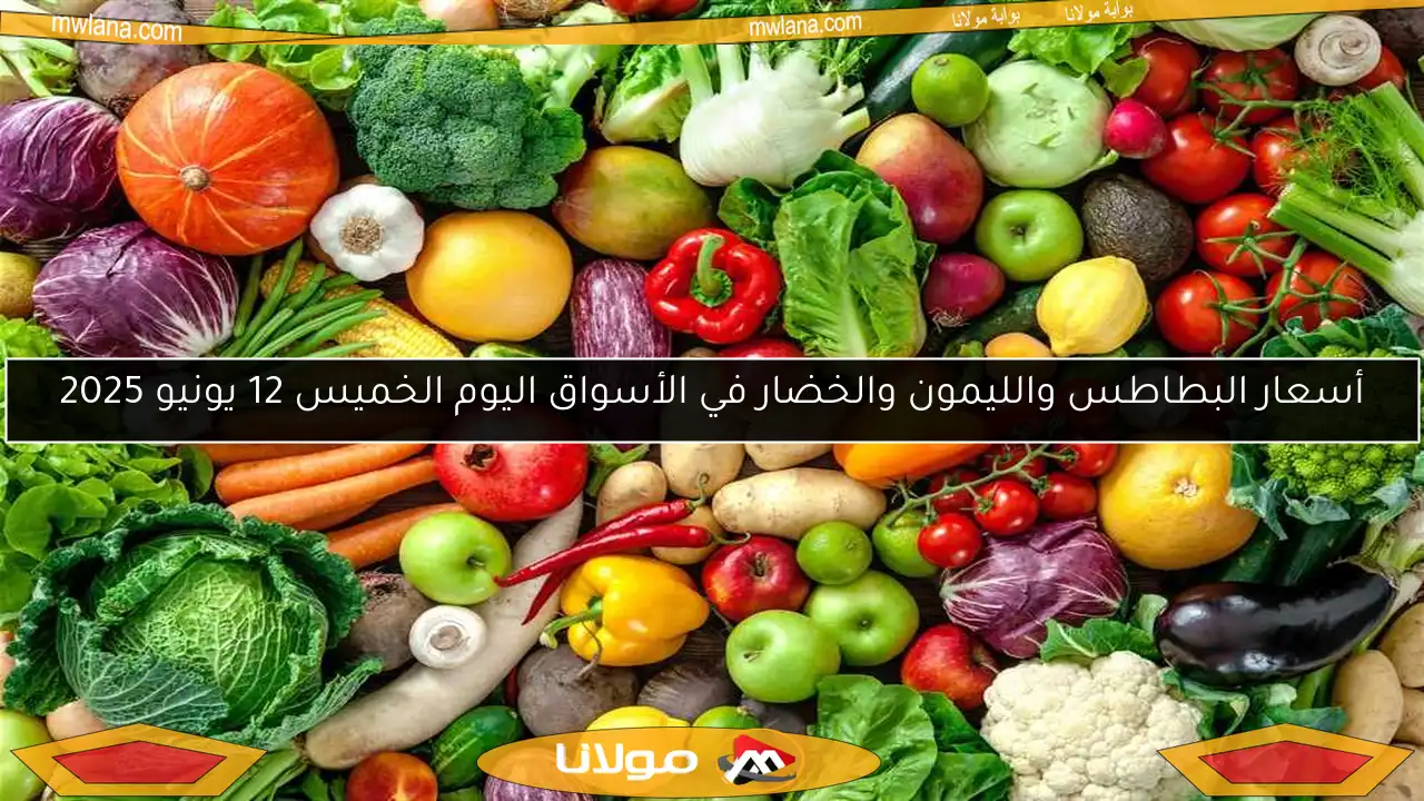 أسعار البطاطس والليمون والخضار في الأسواق اليوم الخميس 12 يونيو 2025