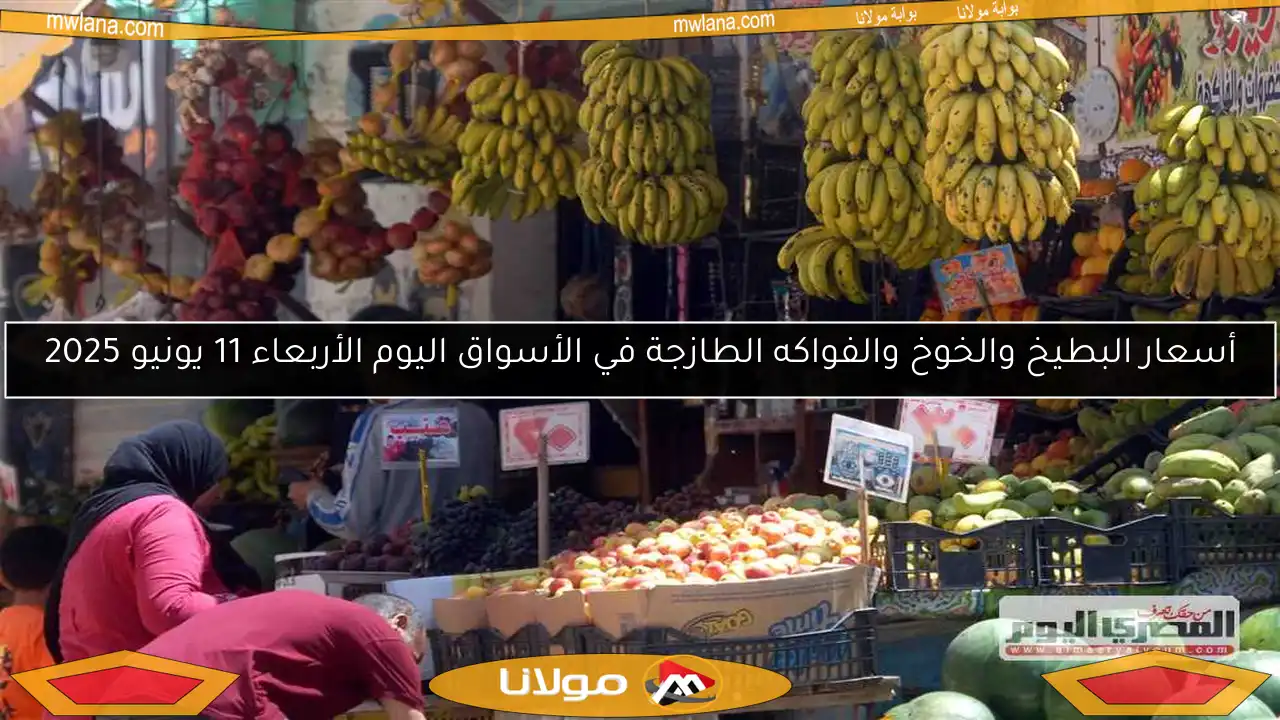 أسعار البطيخ والخوخ والفواكه الطازجة في الأسواق اليوم الأربعاء 11 يونيو 2025