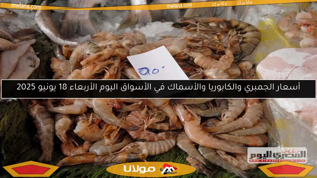 أسعار الجمبري والكابوريا والأسماك في الأسواق اليوم الأربعاء 18 يونيو 2025