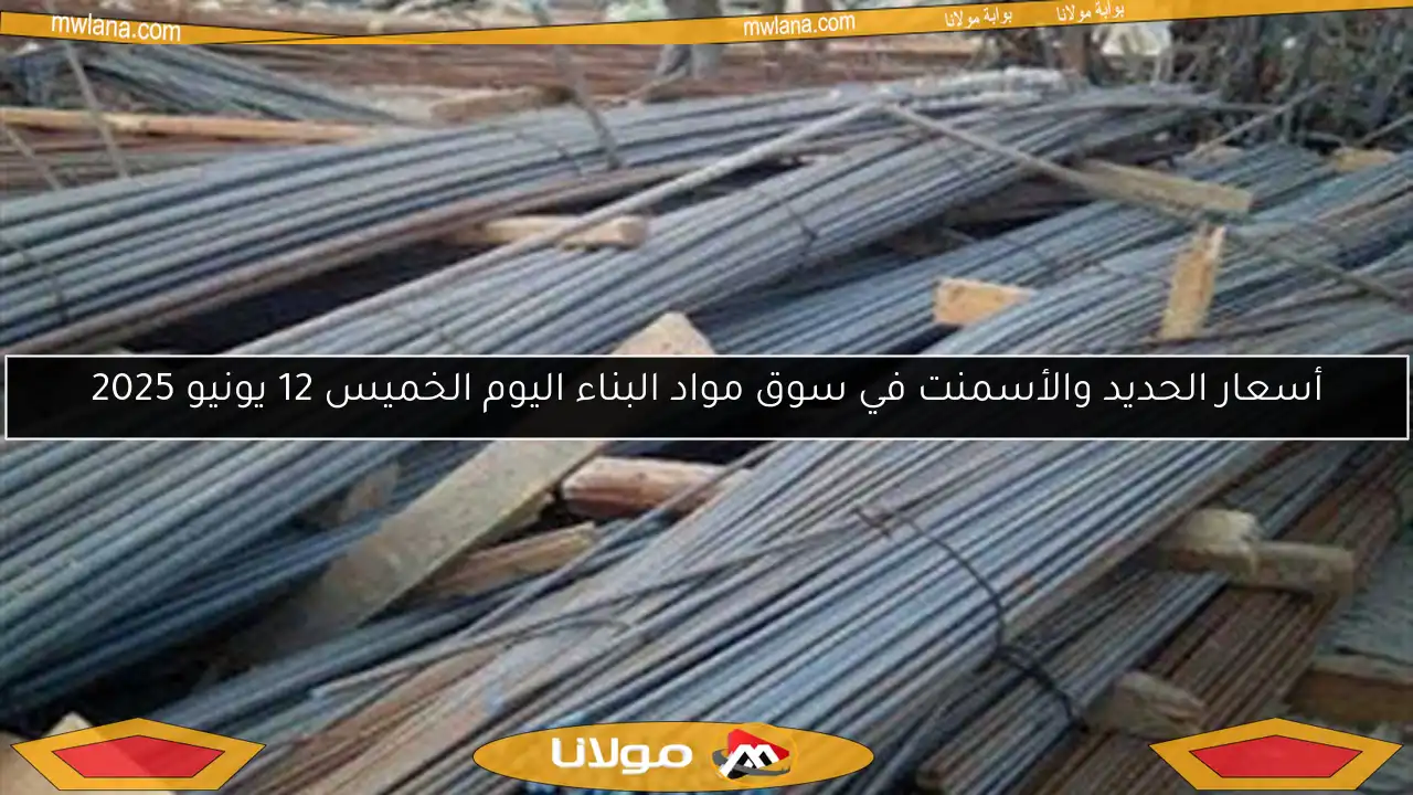 أسعار الحديد والأسمنت في سوق مواد البناء اليوم الخميس 12 يونيو 2025