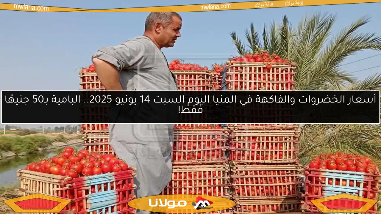 أسعار الخضروات والفاكهة في المنيا اليوم السبت 14 يونيو 2025.. البامية بـ50 جنيهًا فقط!
