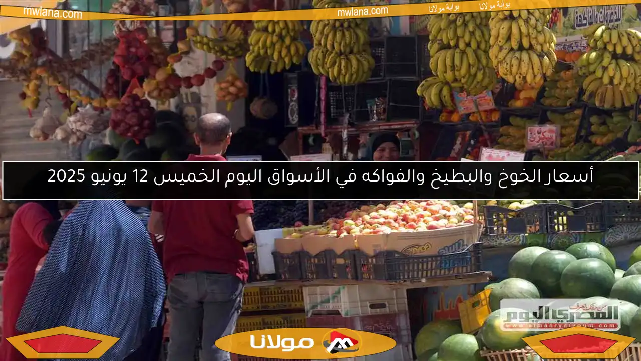 أسعار الخوخ والبطيخ والفواكه في الأسواق اليوم الخميس 12 يونيو 2025