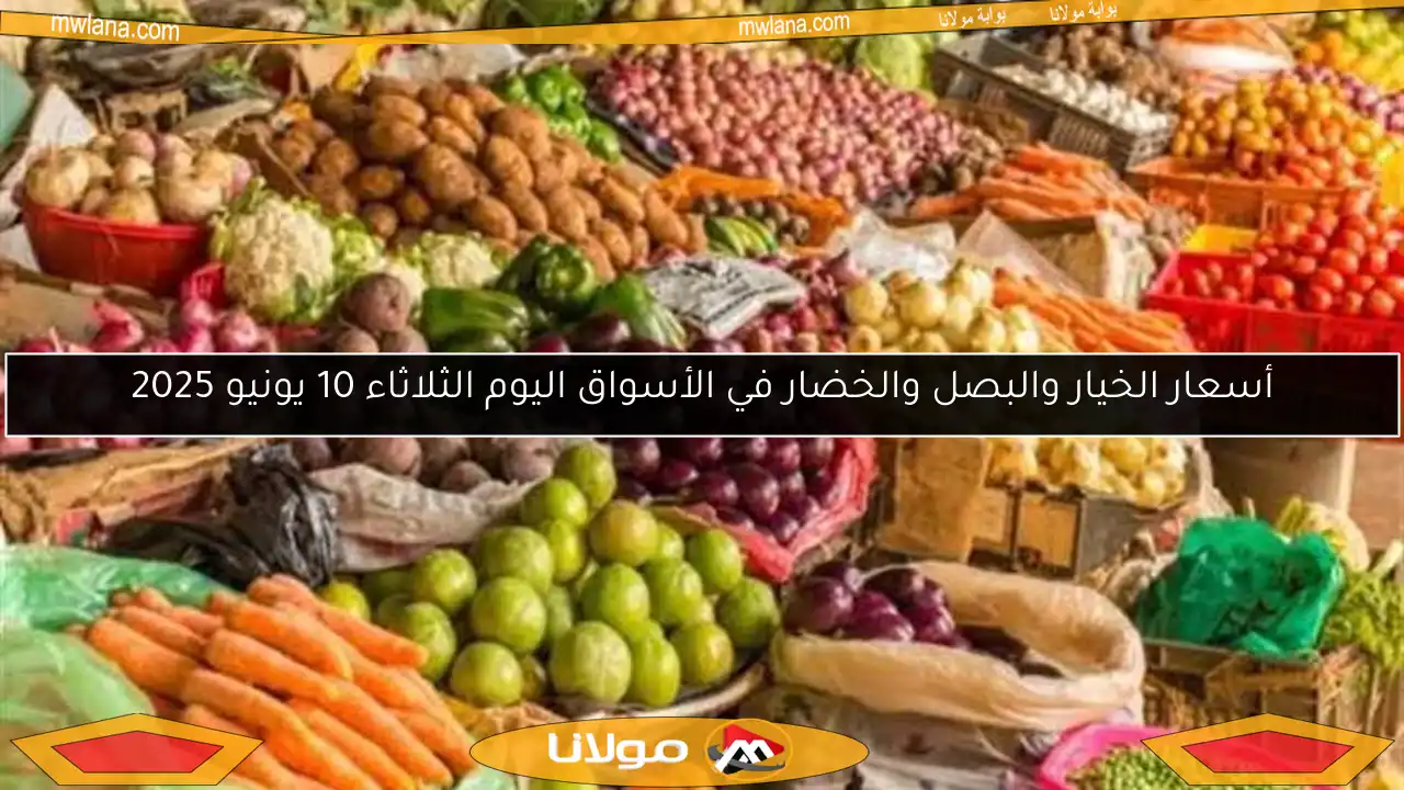 أسعار الخيار والبصل والخضار في الأسواق اليوم الثلاثاء 10 يونيو 2025