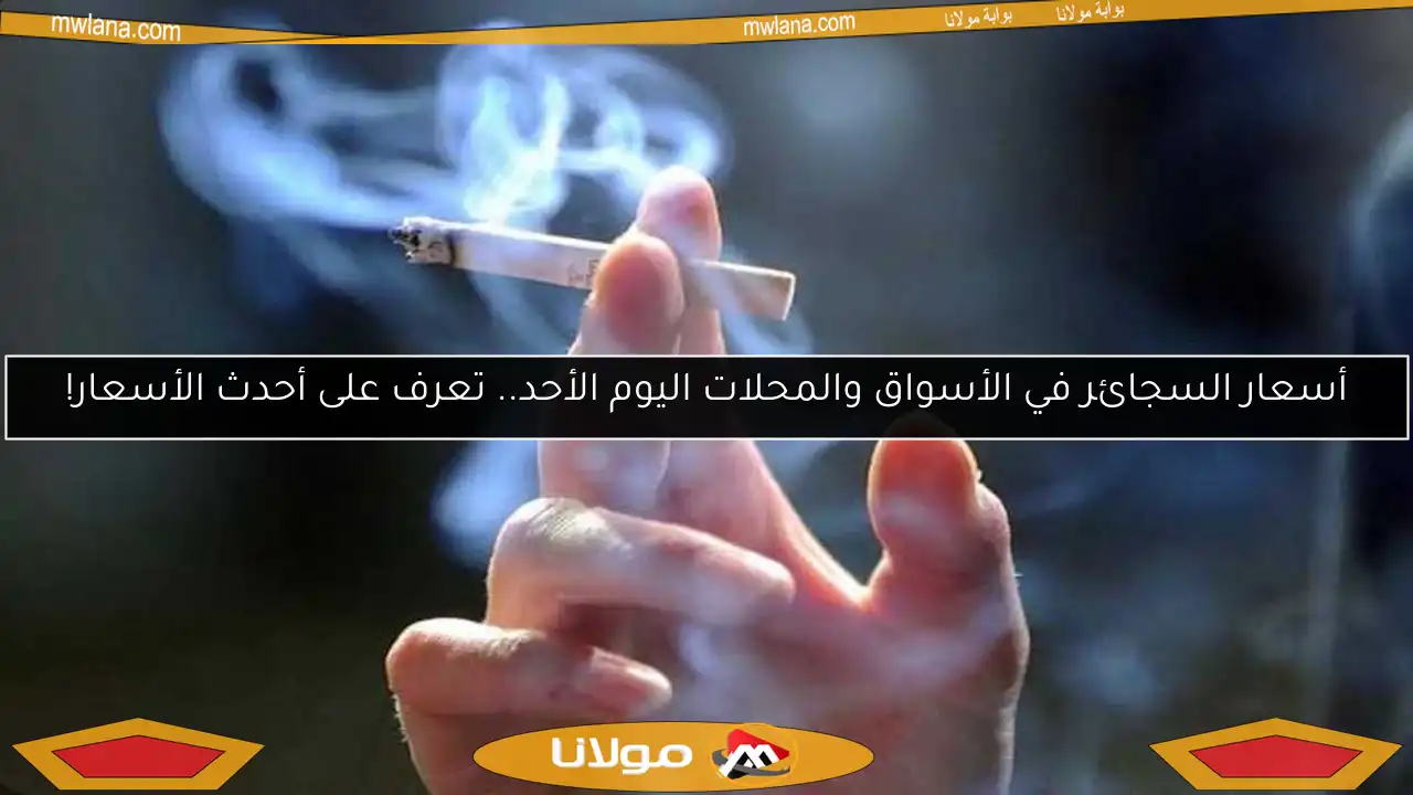 أسعار السجائر في الأسواق والمحلات اليوم الأحد.. تعرف على أحدث الأسعار!