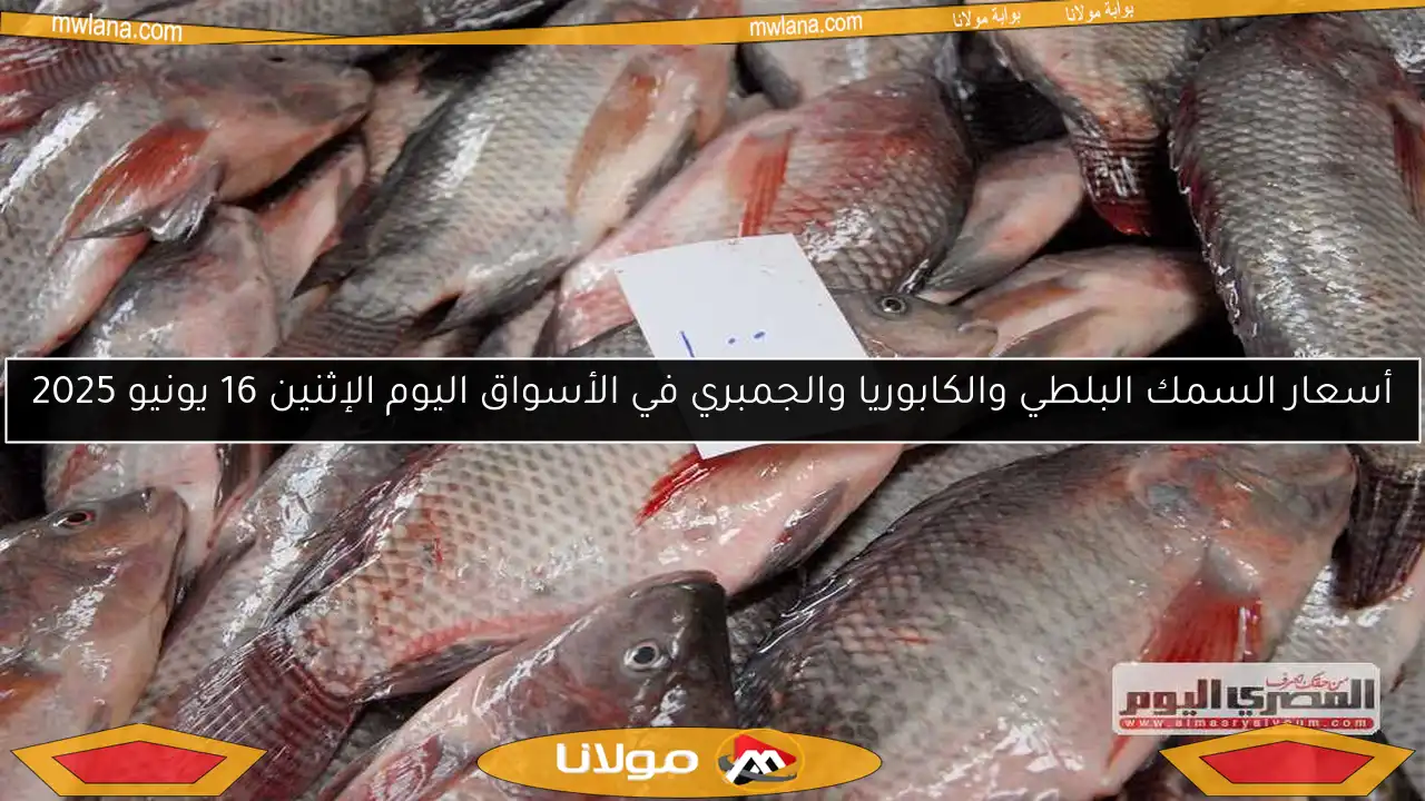 أسعار السمك البلطي والكابوريا والجمبري في الأسواق اليوم الإثنين 16 يونيو 2025