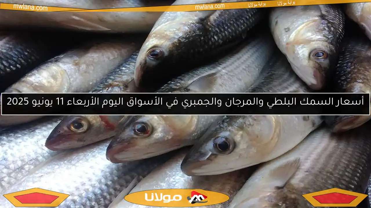 أسعار السمك البلطي والمرجان والجمبري في الأسواق اليوم الأربعاء 11 يونيو 2025