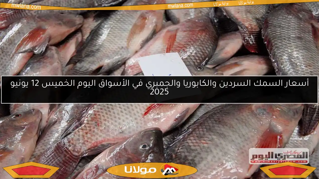 أسعار السمك السردين والكابوريا والجمبري في الأسواق اليوم الخميس 12 يونيو 2025