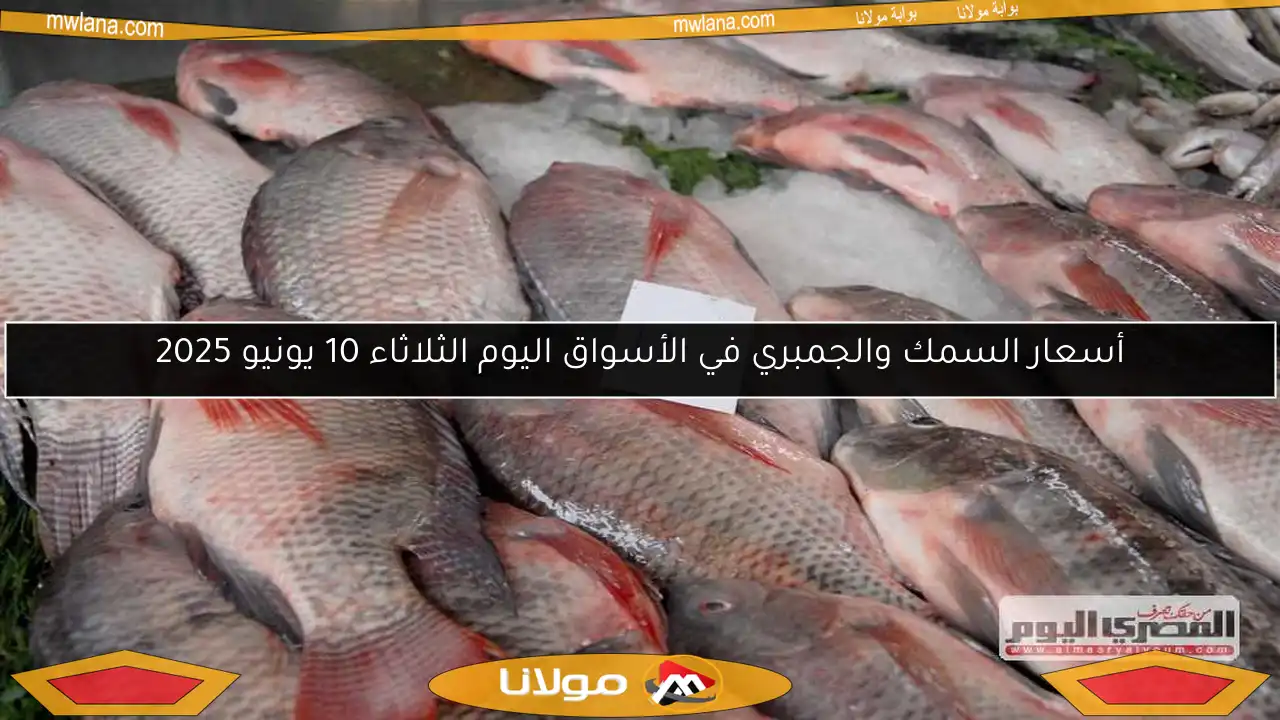 أسعار السمك والجمبري في الأسواق اليوم الثلاثاء 10 يونيو 2025