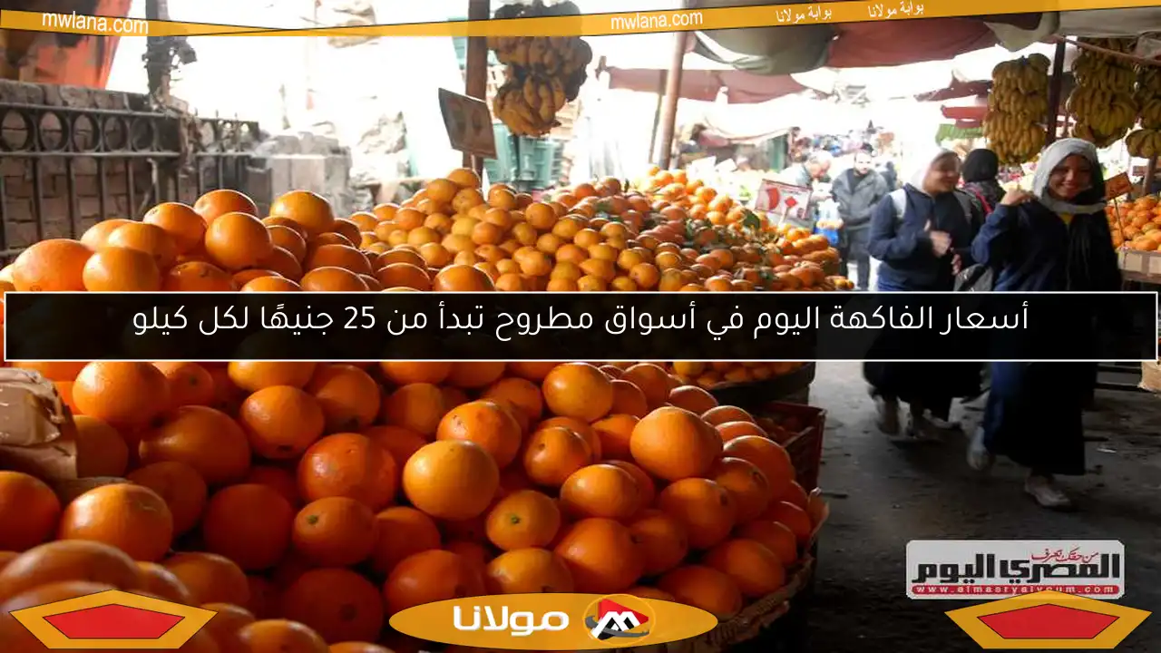 أسعار الفاكهة اليوم في أسواق مطروح تبدأ من 25 جنيهًا لكل كيلو