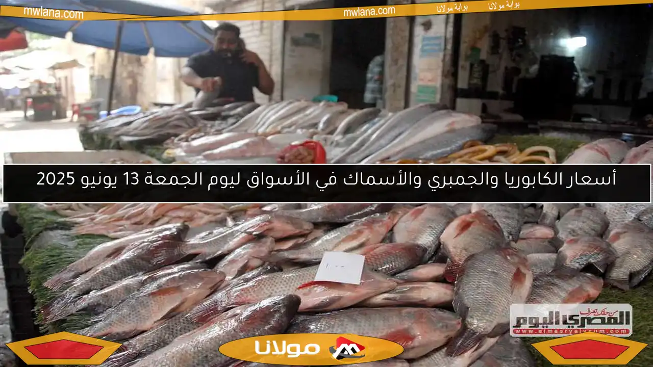 أسعار الكابوريا والجمبري والأسماك في الأسواق ليوم الجمعة 13 يونيو 2025