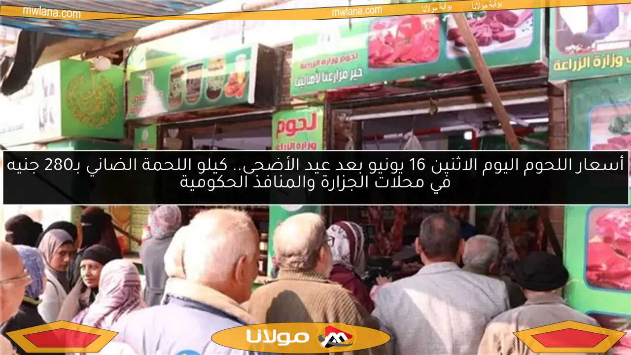 أسعار اللحوم اليوم الاثنين 16 يونيو بعد عيد الأضحى.. كيلو اللحمة الضاني بـ280 جنيه في محلات الجزارة والمنافذ الحكومية