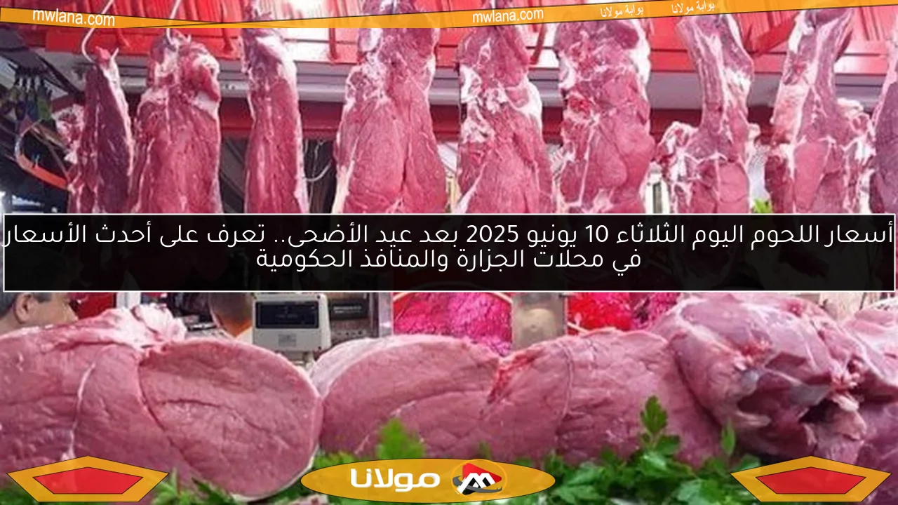 أسعار اللحوم اليوم الثلاثاء 10 يونيو 2025 بعد عيد الأضحى.. تعرف على أحدث الأسعار في محلات الجزارة والمنافذ الحكومية