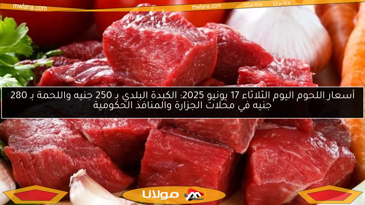 أسعار اللحوم اليوم الثلاثاء 17 يونيو 2025: الكبدة البلدي بـ 250 جنيه واللحمة بـ 280 جنيه في محلات الجزارة والمنافذ الحكومية