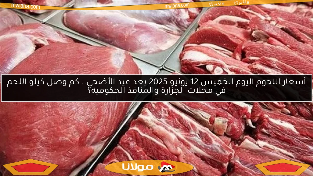 أسعار اللحوم اليوم الخميس 12 يونيو 2025 بعد عيد الأضحى.. كم وصل كيلو اللحم في محلات الجزارة والمنافذ الحكومية؟