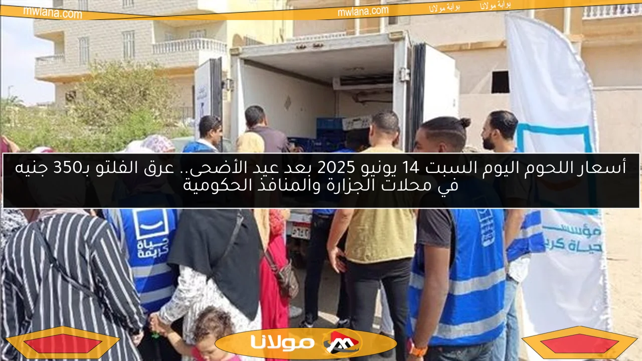 أسعار اللحوم اليوم السبت 14 يونيو 2025 بعد عيد الأضحى.. عرق الفلتو بـ350 جنيه في محلات الجزارة والمنافذ الحكومية