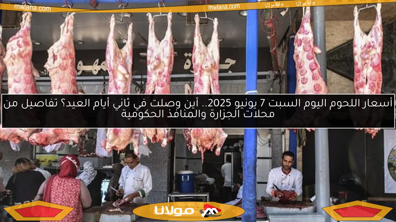 أسعار اللحوم اليوم السبت 7 يونيو 2025.. أين وصلت في ثاني أيام العيد؟ تفاصيل من محلات الجزارة والمنافذ الحكومية