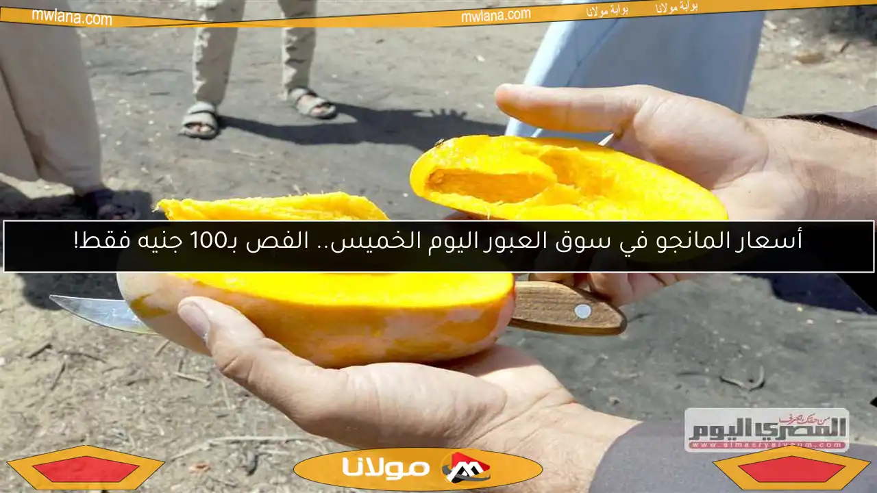 أسعار المانجو في سوق العبور اليوم الخميس.. الفص بـ100 جنيه فقط!