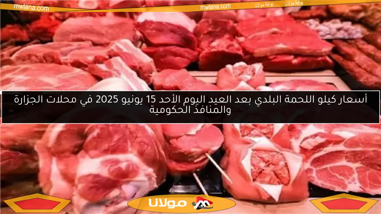 أسعار كيلو اللحمة البلدي بعد العيد اليوم الأحد 15 يونيو 2025 في محلات الجزارة والمنافذ الحكومية