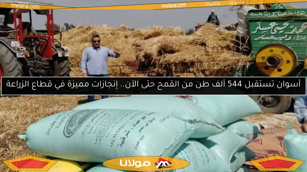أسوان تستقبل 544 ألف طن من القمح حتى الآن.. إنجازات مميزة في قطاع الزراعة