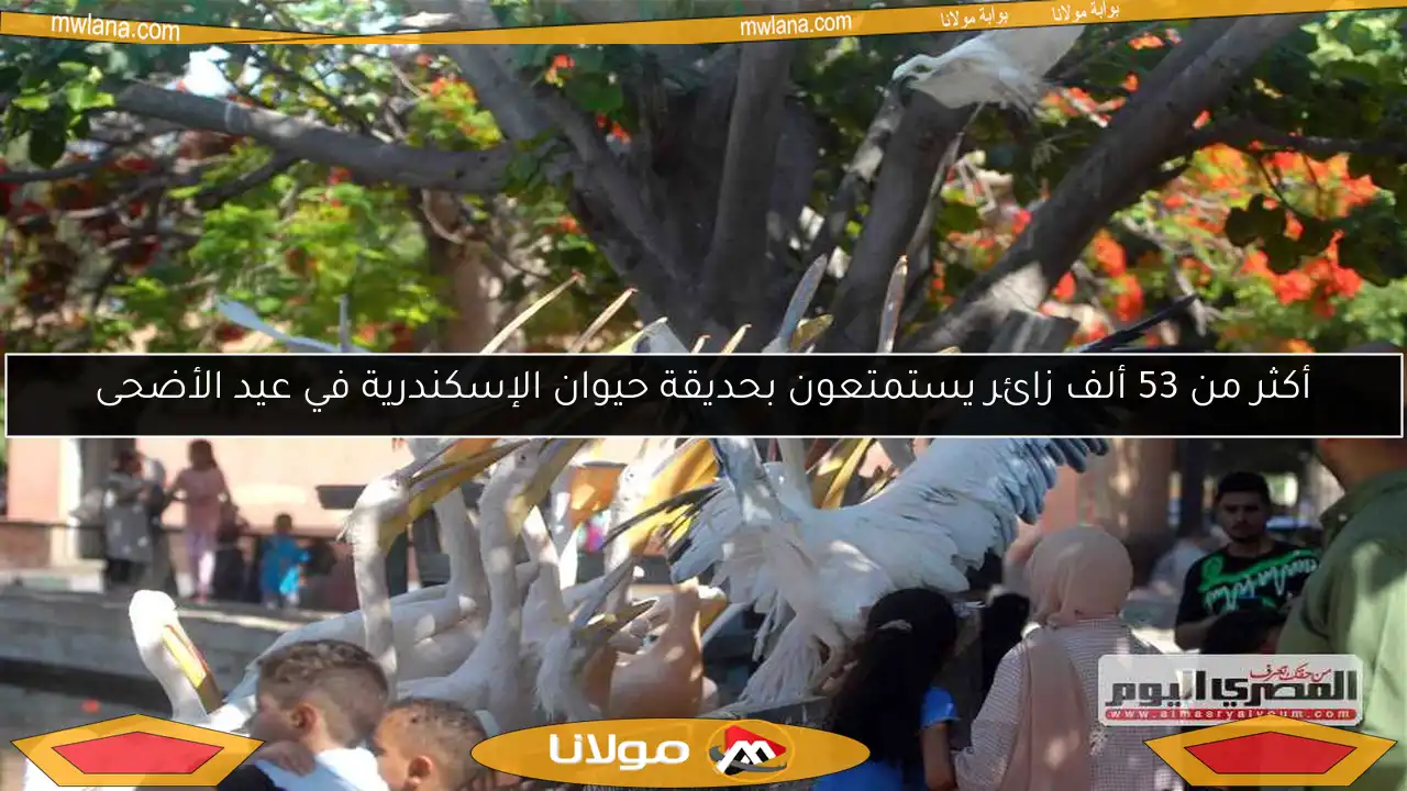 أكثر من 53 ألف زائر يستمتعون بحديقة حيوان الإسكندرية في عيد الأضحى