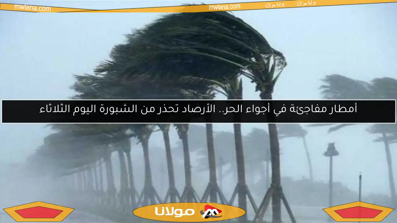 أمطار مفاجئة في أجواء الحر.. الأرصاد تحذر من الشبورة اليوم الثلاثاء