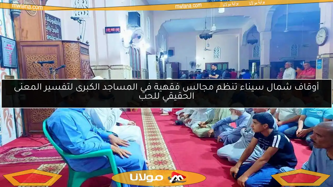 أوقاف شمال سيناء تنظم مجالس فقهية في المساجد الكبرى لتفسير المعنى الحقيقي للحب