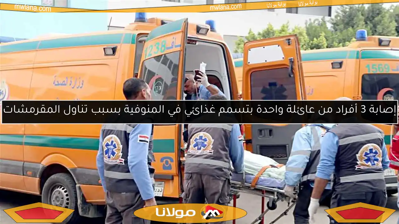 إصابة 3 أفراد من عائلة واحدة بتسمم غذائي في المنوفية بسبب تناول المقرمشات