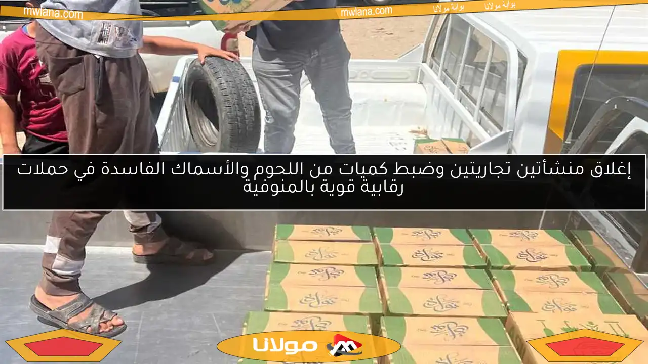 إغلاق منشأتين تجاريتين وضبط كميات من اللحوم والأسماك الفاسدة في حملات رقابية قوية بالمنوفية