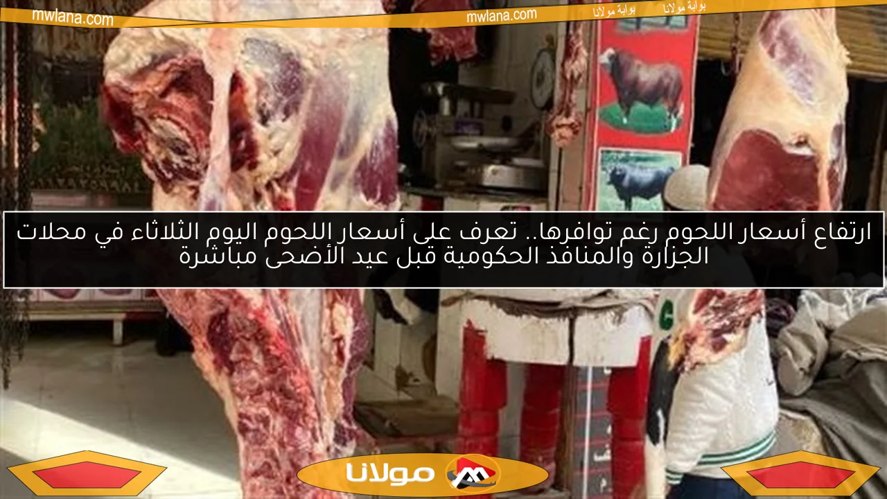 ارتفاع أسعار اللحوم رغم توافرها.. تعرف على أسعار اللحوم اليوم الثلاثاء في محلات الجزارة والمنافذ الحكومية قبل عيد الأضحى مباشرة