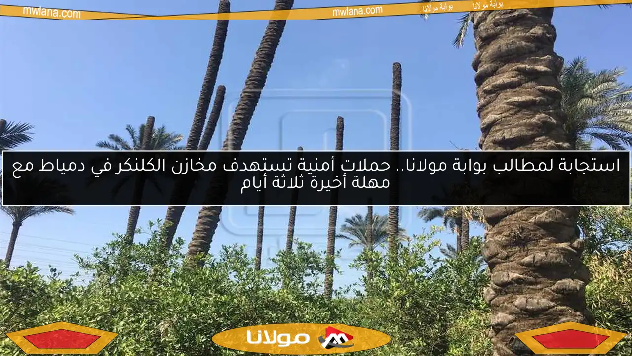 استجابة لمطالب بوابة مولانا.. حملات أمنية تستهدف مخازن الكلنكر في دمياط مع مهلة أخيرة ثلاثة أيام